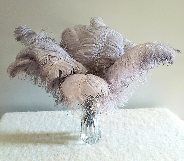 1st Quality XL Individual Female Ostrich Feathers