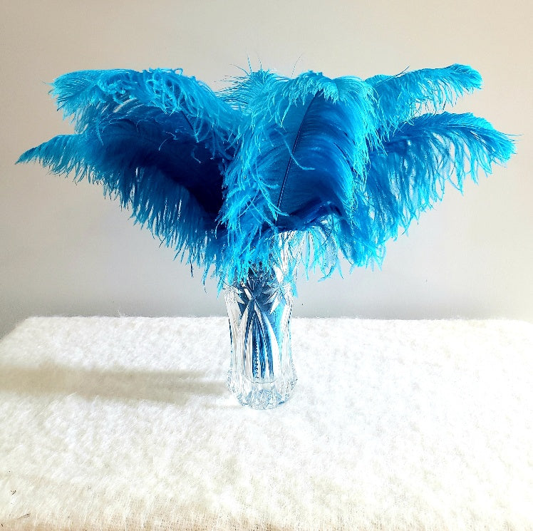 1st Quality XL Individual Female Ostrich Feathers