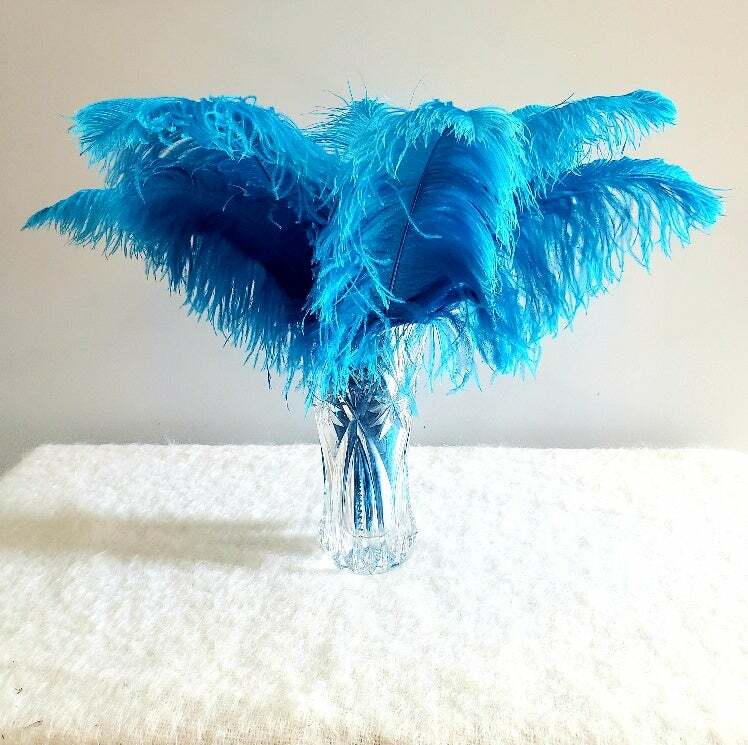 1st Quality XL Individual Female Ostrich Feathers
