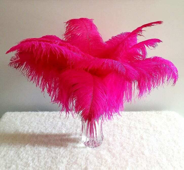 1st Quality XL Individual Female Ostrich Feathers