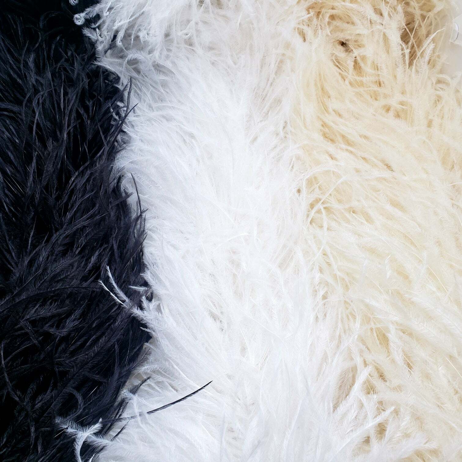 Genuine Ostrich Feather BOA, 8 Ply