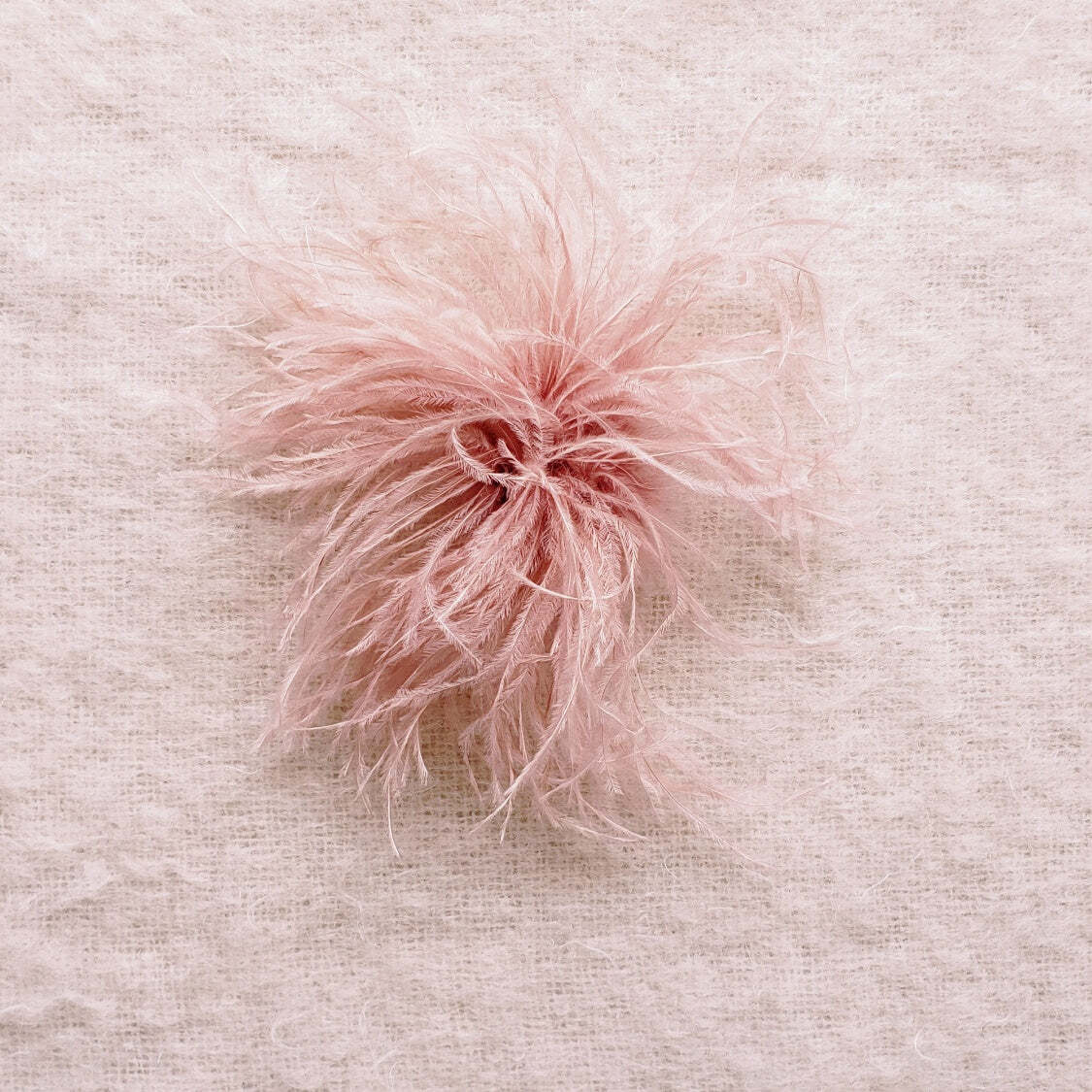 Feather Brooches