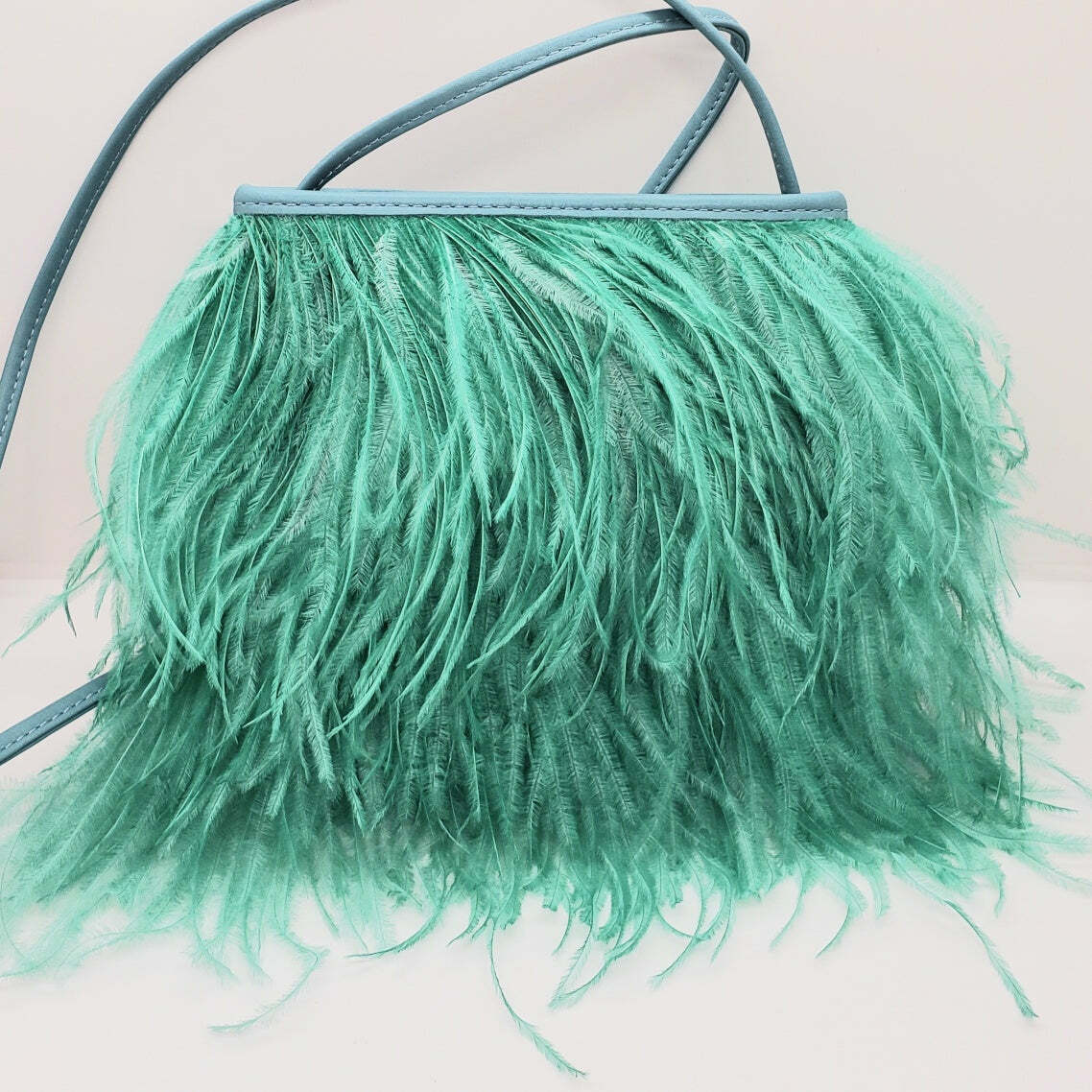Fancy Feather Handbag