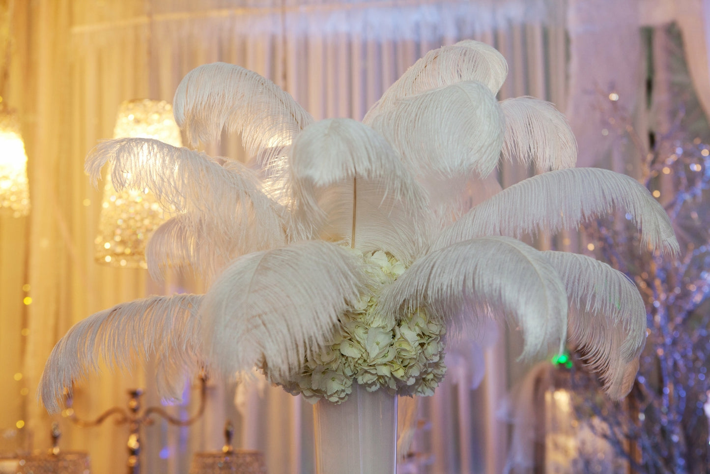 1st Quality XL Individual Female Ostrich Feathers