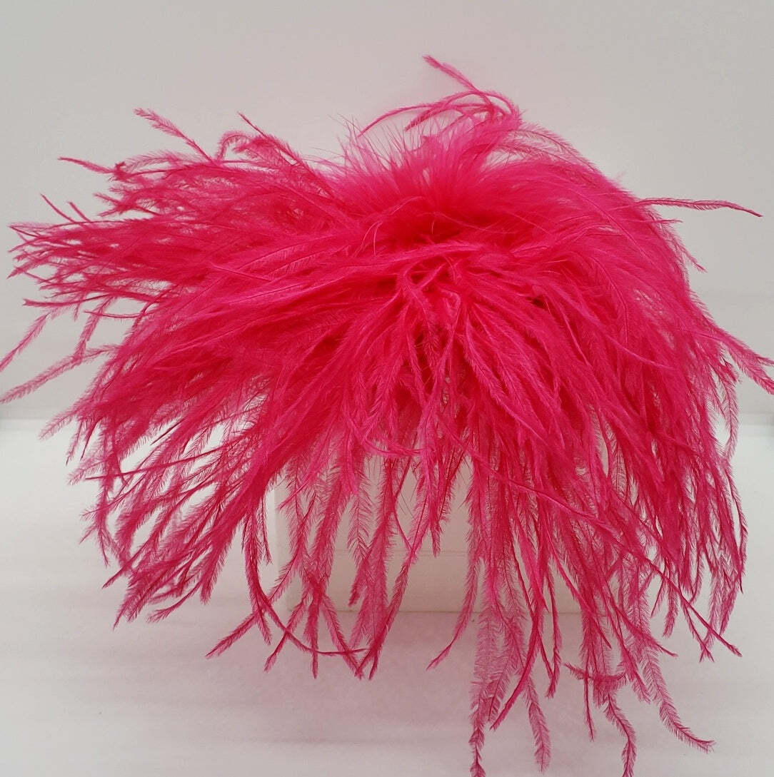 Feather Brooches