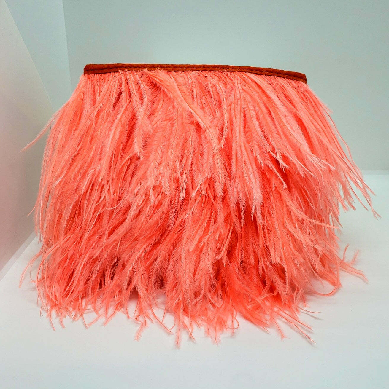 Fancy Feather Handbag