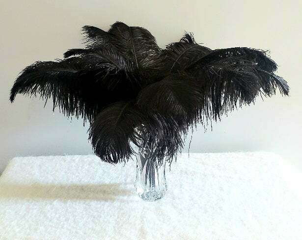 1st Quality XL Individual Female Ostrich Feathers