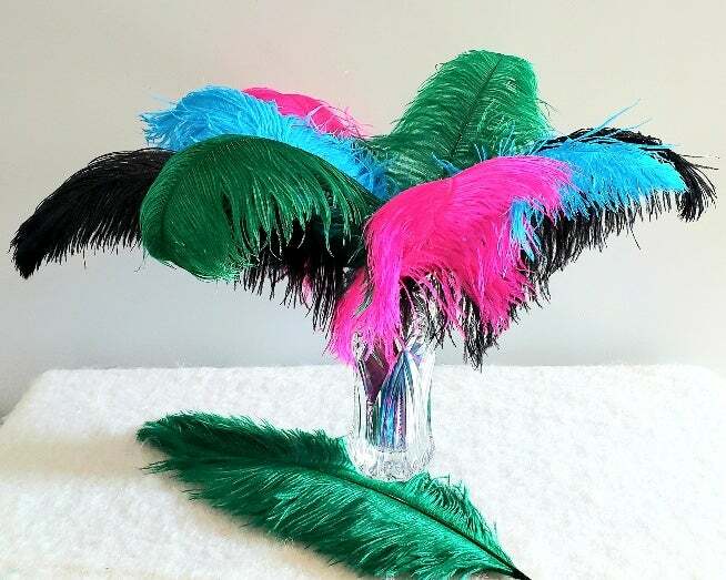 1st Quality XL Individual Female Ostrich Feathers