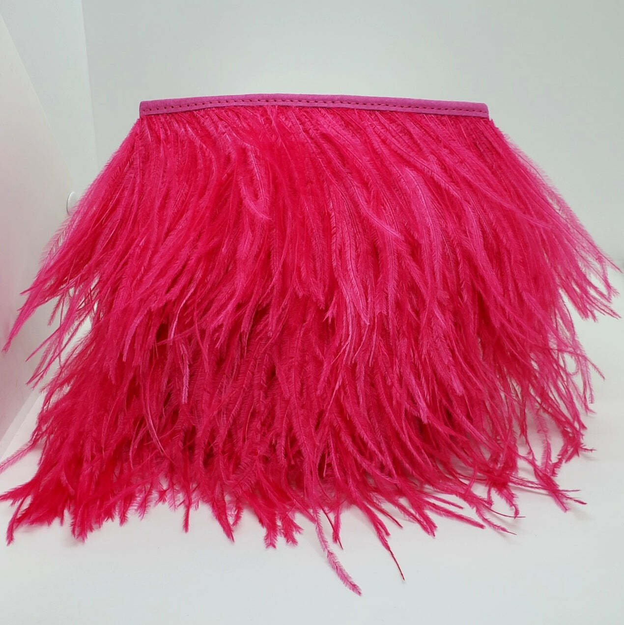 Fancy Feather Handbag