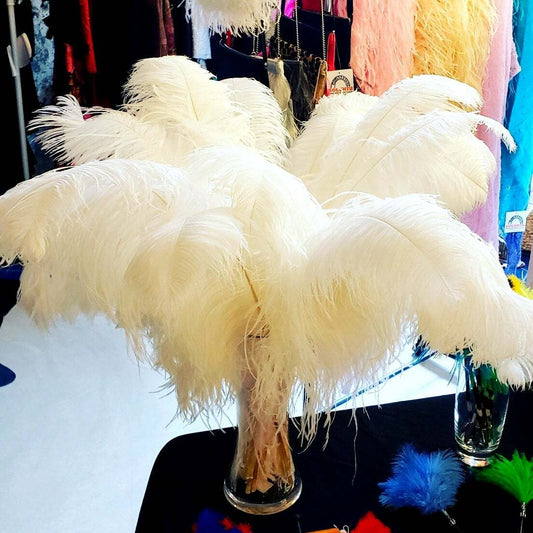 1st Quality XL Individual Female Ostrich Feathers