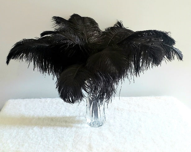 1st Quality  XL  Individual Ostrich Feathers
