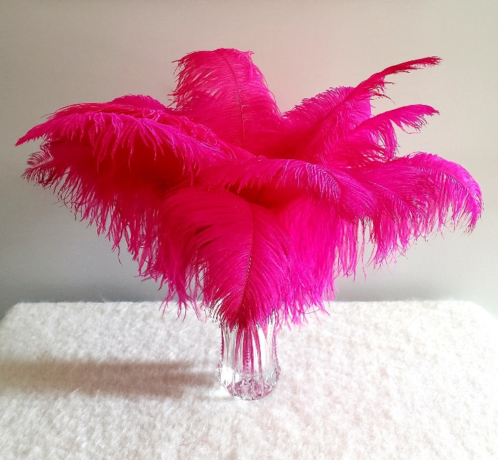 1st Quality  XL  Individual Ostrich Feathers