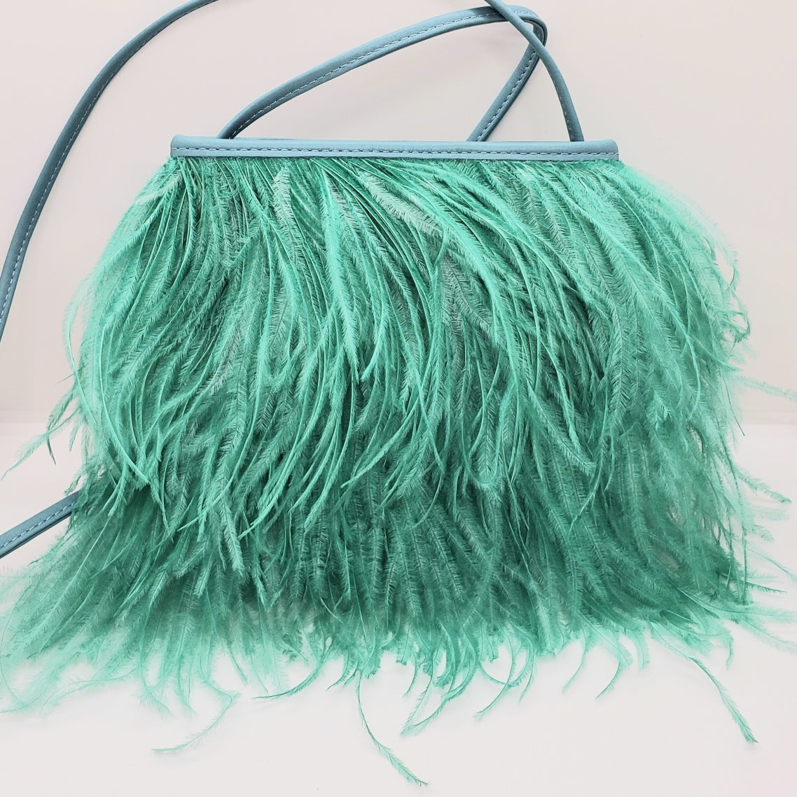 Fancy Feather Handbag