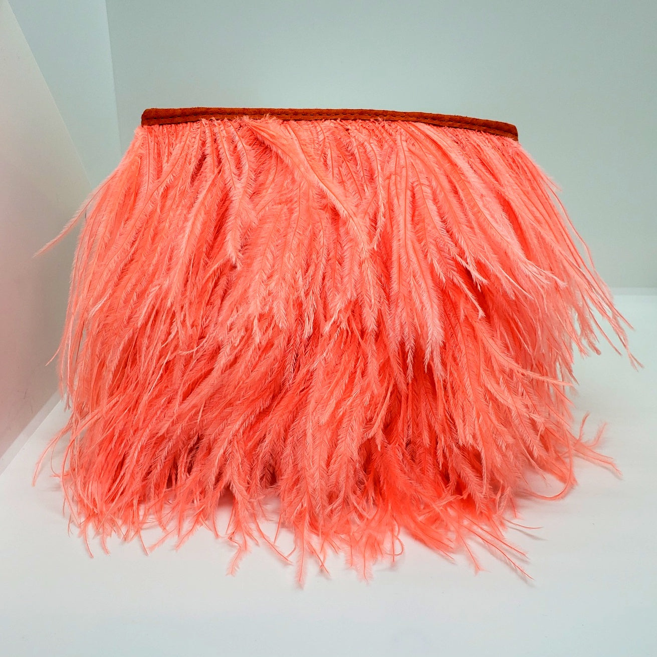 Fancy Feather Handbag