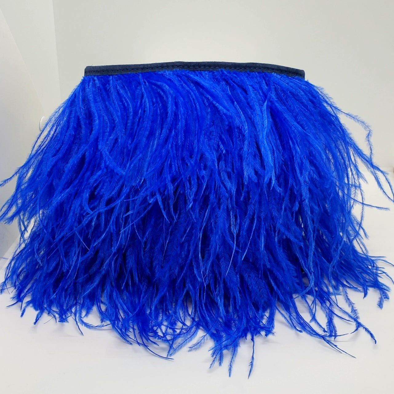 Fancy Feather Handbag