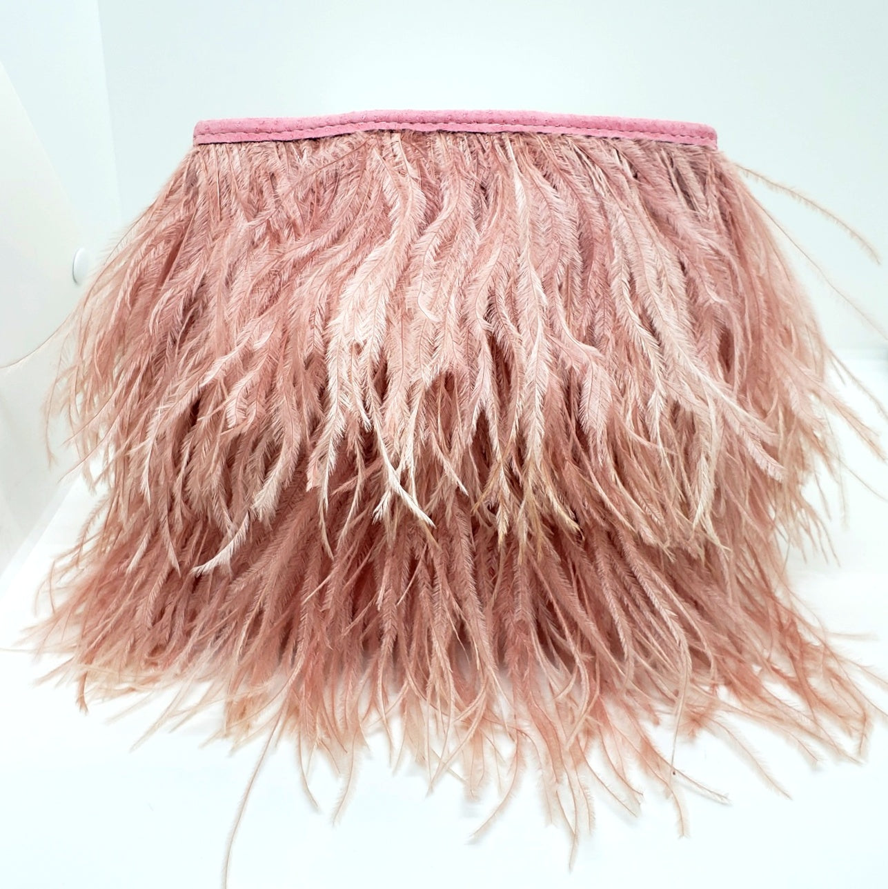 Fancy Feather Handbag