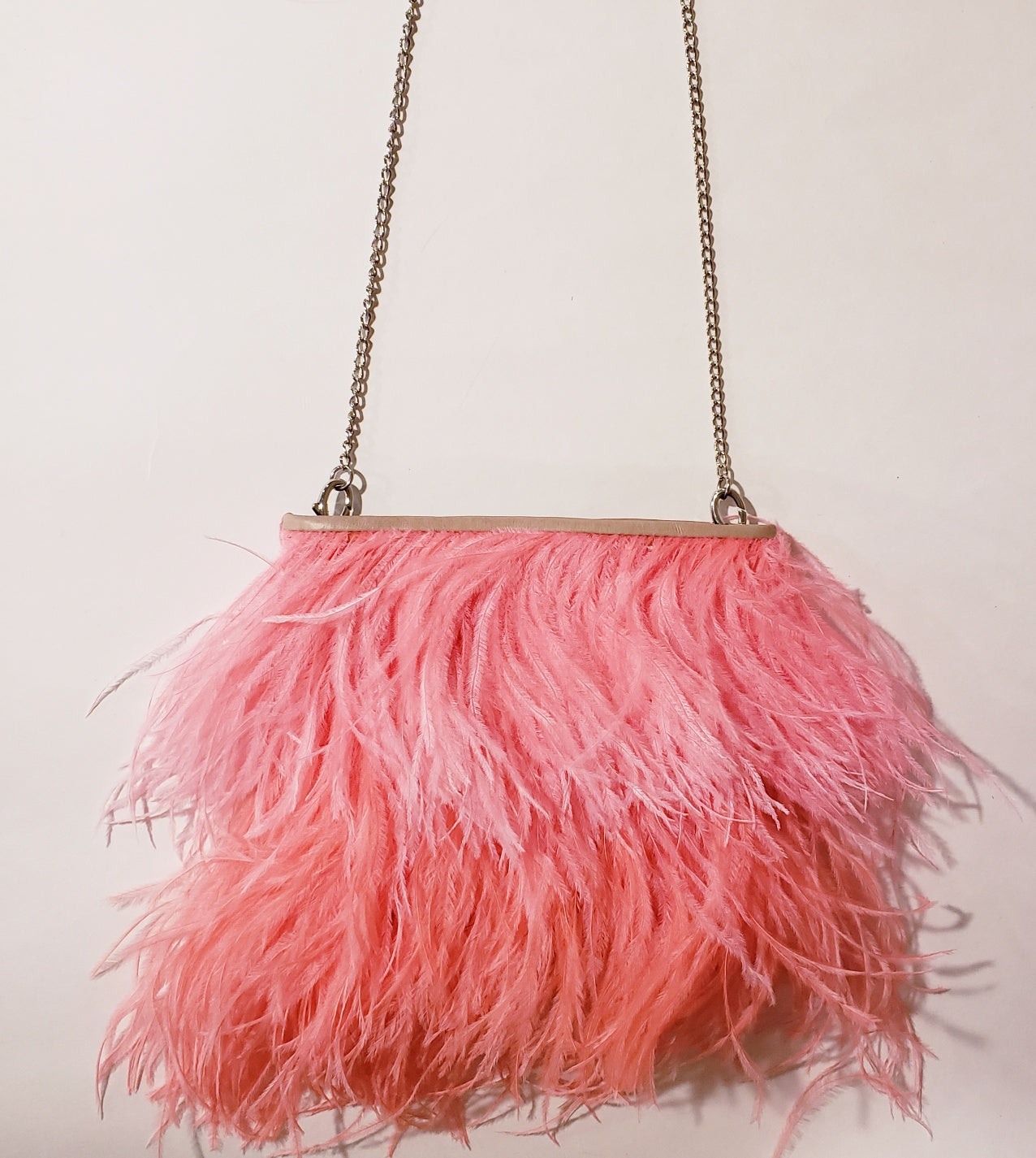 Fancy Feather Handbag