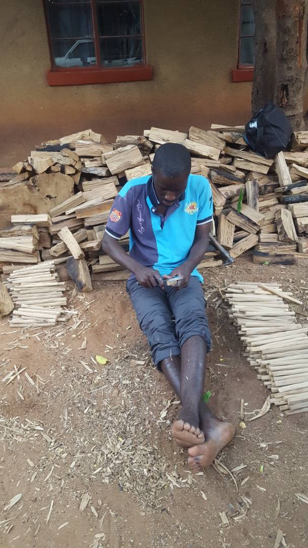 Olive Wood and Ostrich Feather Pen