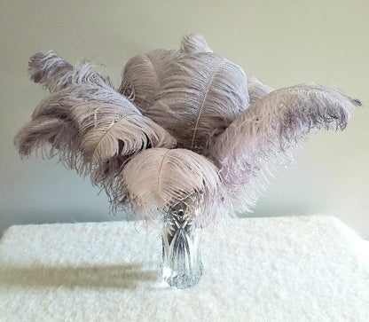 1st Quality XL Individual Female Ostrich Feathers