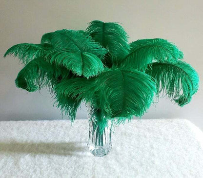 1st Quality XL Individual Female Ostrich Feathers