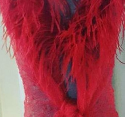 Mohair Lace Poncho with Ostrich Feathers