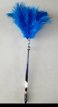Porcupine Quill and Ostrich Feather Pen