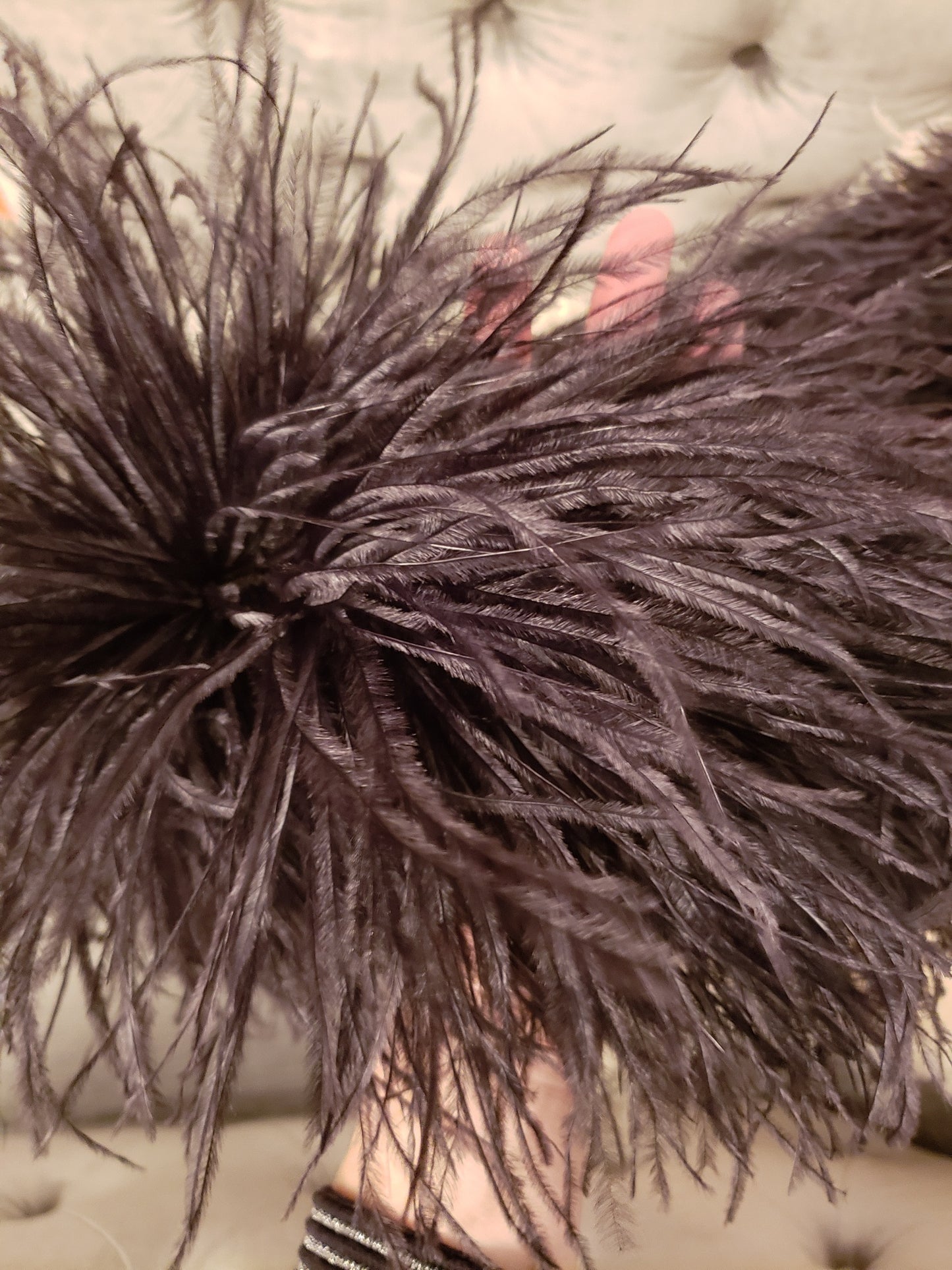Genuine Ostrich Feather BOA, 6 ply