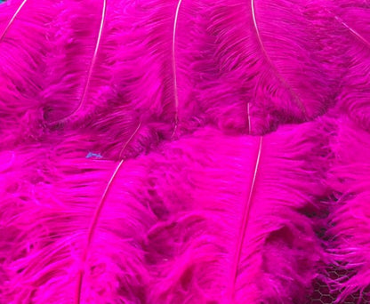 1st Quality  XL  Individual Ostrich Feathers