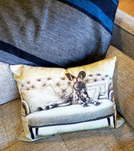 Whimsical Collection Animal Cushions