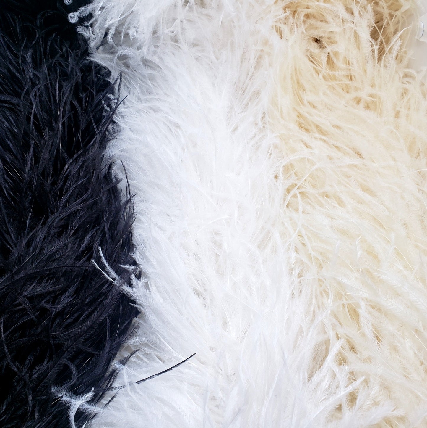 Genuine Ostrich Feather BOA, 6 ply