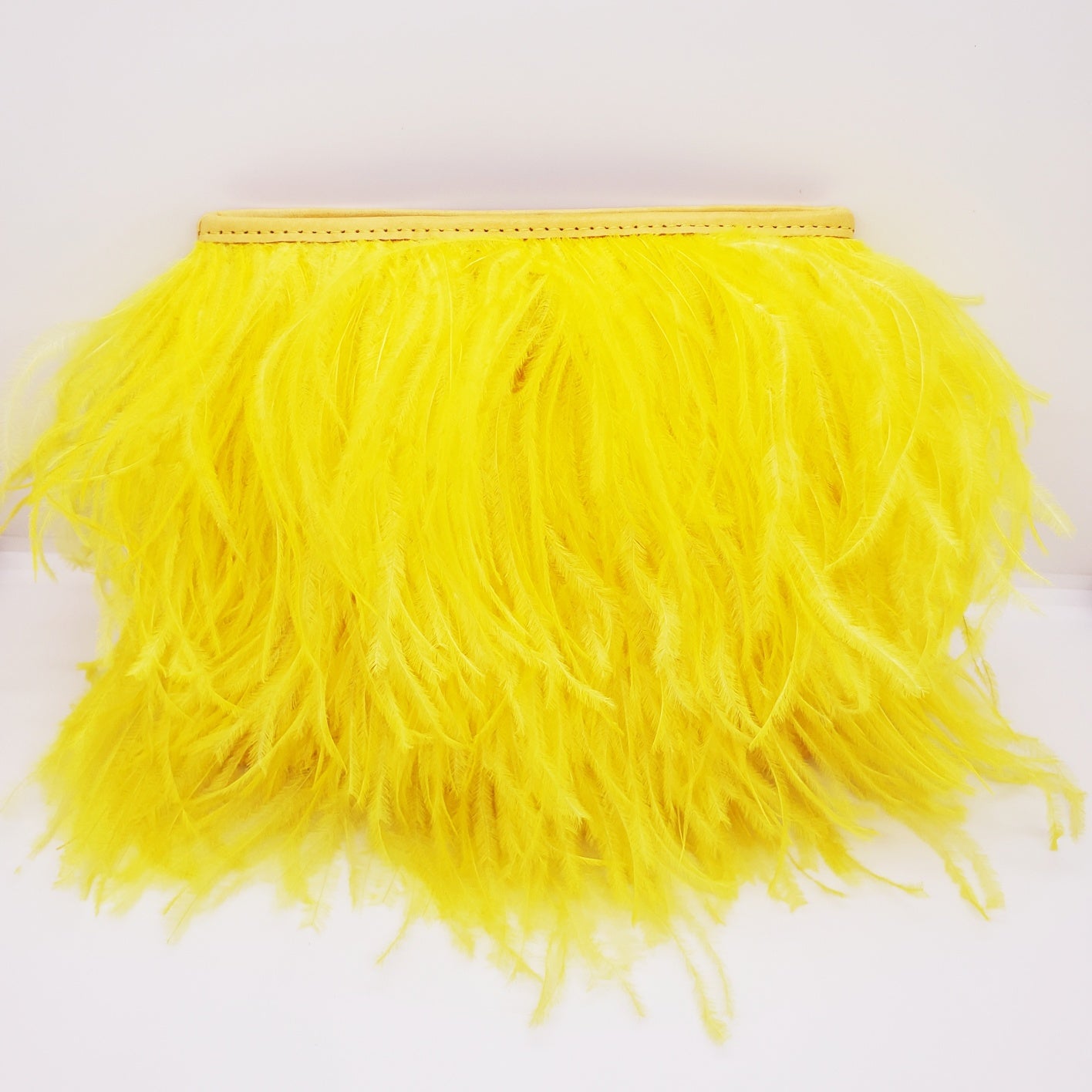 Fancy Feather Handbag