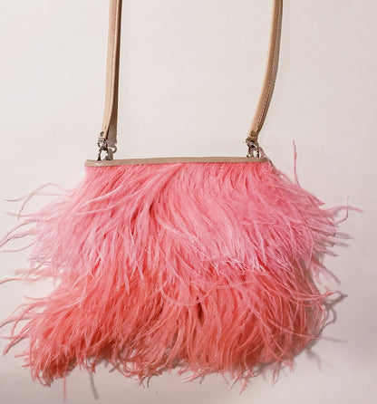 Fancy Feather Handbag