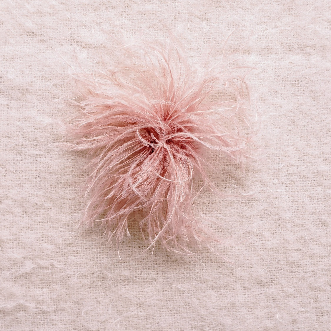 Feather Brooches